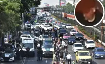 Silenciador, moto y fuga: claves del asesinato de colaboradores de Brugada