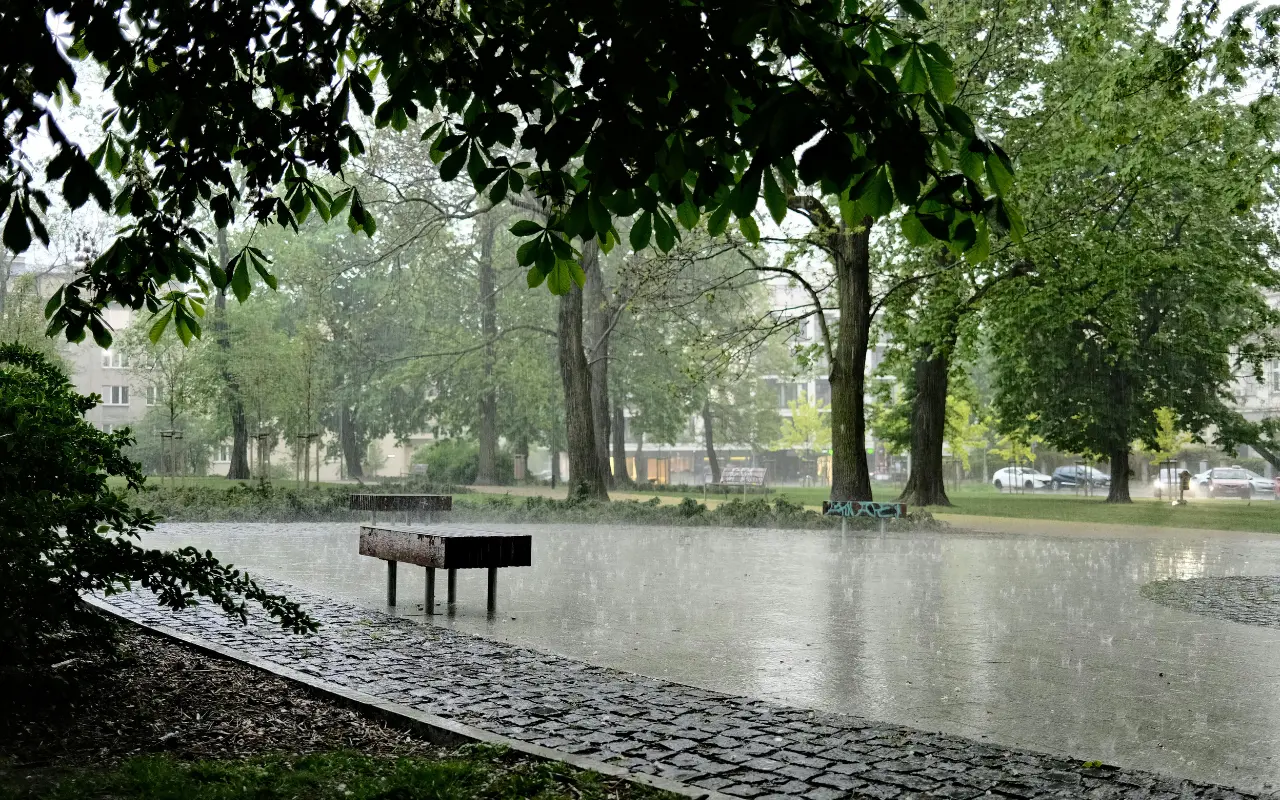 Este viernes se esperan lluvias ligeras en el Estado de México. Foto: Pexels