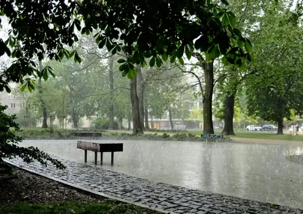 Clima en el Estado de México: hoy 23 de mayo ¿Debes salir con paraguas?