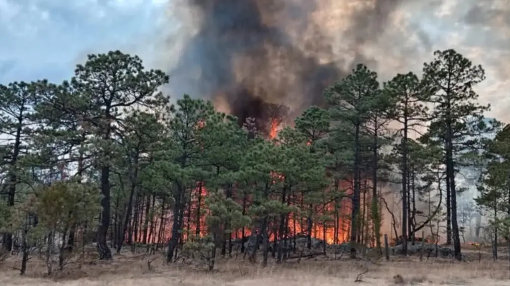 Sigue el incendio forestal en Tepehuanes, Durango; está controlado al 60 por ciento
