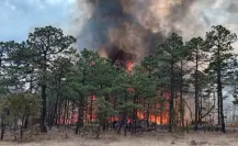 Sigue el incendio forestal en Tepehuanes, Durango; está controlado al 60 por ciento