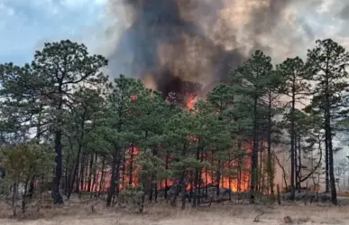 Sigue el incendio forestal en Tepehuanes, Durango; está controlado al 60 por ciento