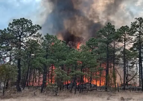 Sigue el incendio forestal en Tepehuanes, Durango; está controlado al 60 por ciento