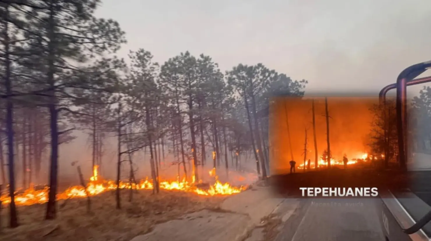 Foto: Facebook/ Secretaría de Seguridad Pública del Estado de Durango | Conoce donde se ubica el centro de acopio para ayudar con víveres a los brigadistas del incendio forestal en Tepehuanes.