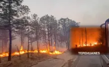 Incendio forestal en Tepehuanes: este es el centro de acopio para apoyar a los brigadistas 