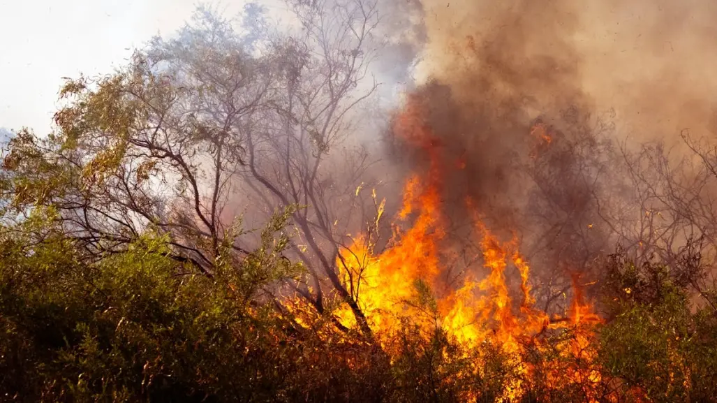 ¿Cuántos incendios se encuentran activos hoy 23 de mayo, según CONAFOR?