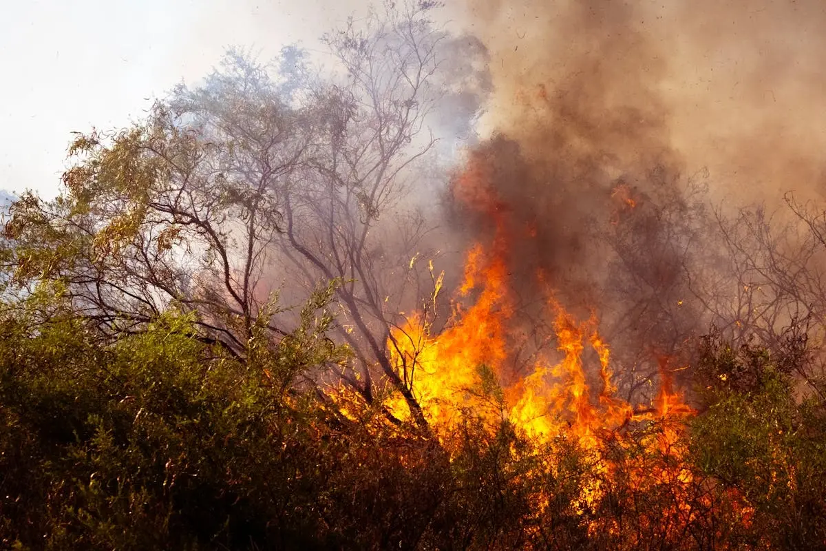 Incendio en pastizales Foto: Pexels