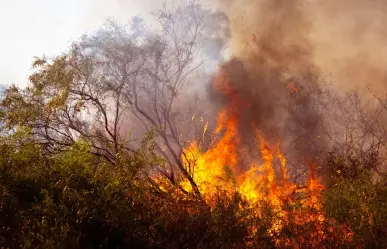¿Cuántos incendios se encuentran activos hoy 23 de mayo, según CONAFOR?