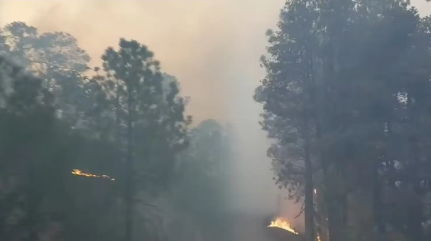 Foto: Facebook/ Secretaría de Seguridad Pública del Estado de Durango |Incendios forestales en Durango: incrementa el porcentaje de control en Tepehuanes