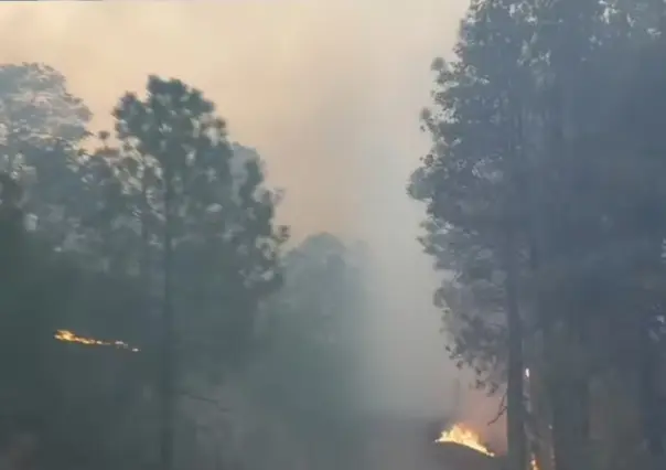 Incendios forestales en Durango: incrementa el porcentaje de control en Tepehuanes