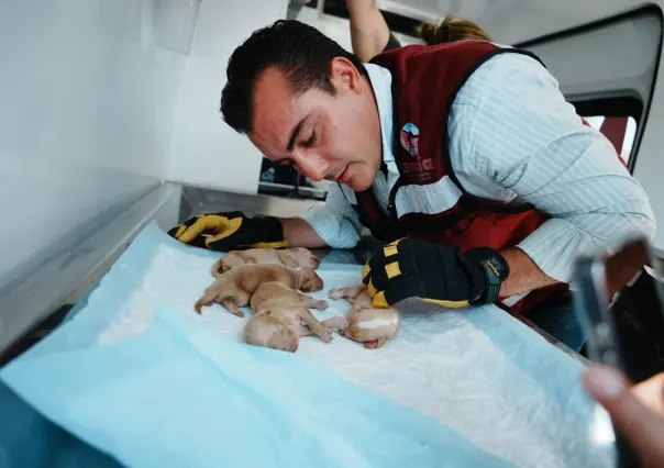 Manuel Guerra Cavazos rescata a 14 perritos abandonados en García tras operativo