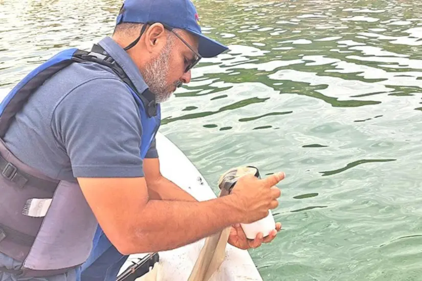 Muestro en playas de BCS. Foto: COEPRIS BCS