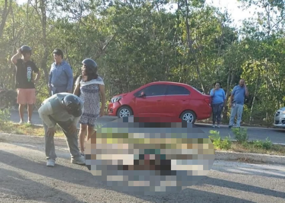 niño atropellado en Progreso