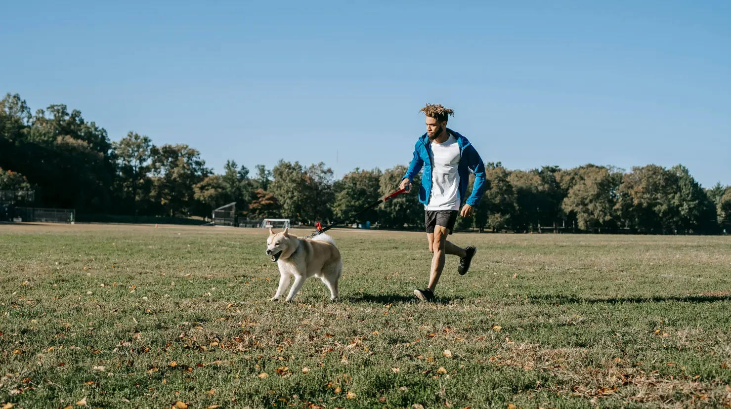 ¿Qué riesgos representa el calor para los perros?. Foto: Irving Gil
