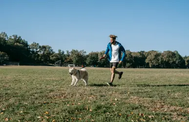 ¿Cuál es la hora ideal para sacar a pasear a tu perro en Yucatán? Esto dicen los especialistas
