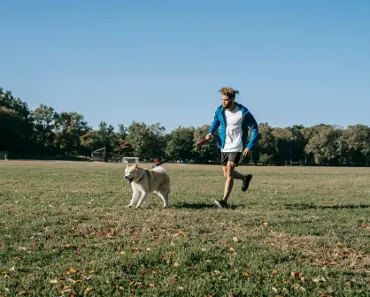 ¿Cuál es la hora ideal para sacar a pasear a tu perro en Yucatán? Esto dicen los especialistas