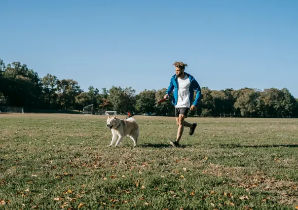 ¿Cuál es la hora ideal para sacar a pasear a tu perro en Yucatán? Esto dicen los especialistas