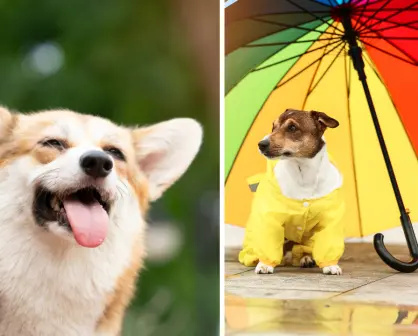 ¿Calor o lluvia para este 24 de mayo en Durango?, este es el pronóstico de la Conagua