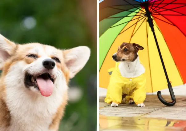 ¿Calor o lluvia para este 24 de mayo en Durango?, este es el pronóstico de la Conagua