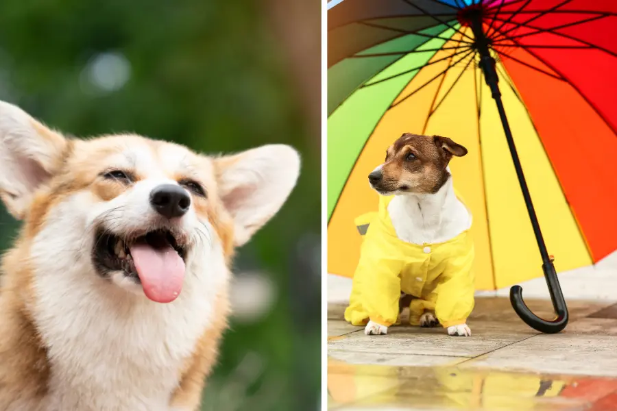 ¿Calor o lluvia para este 24 de mayo en Durango?, este es el pronóstico de la Conagua