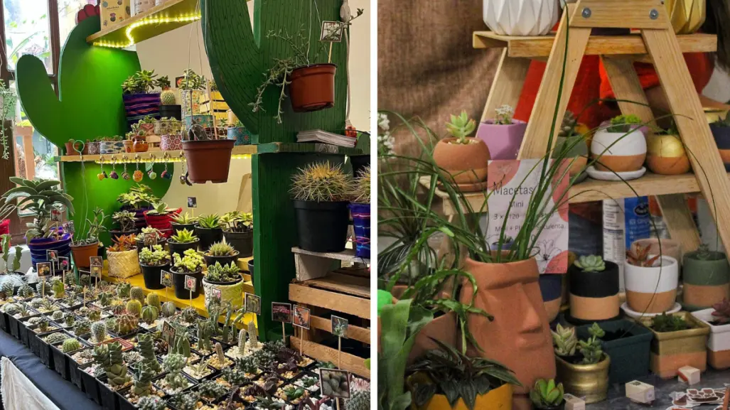 ¿Amas las plantas? No te pierdas Plan Fest 2025 en CDMX