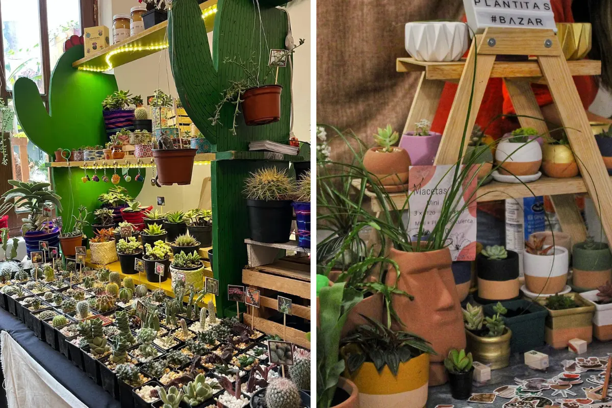 Plant Fest 2023 CDMX. Foto: mxc.com.mx | Canva
