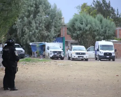 Localizan fosa clandestina con 15 cuerpos en Irapuato, Guanajuato