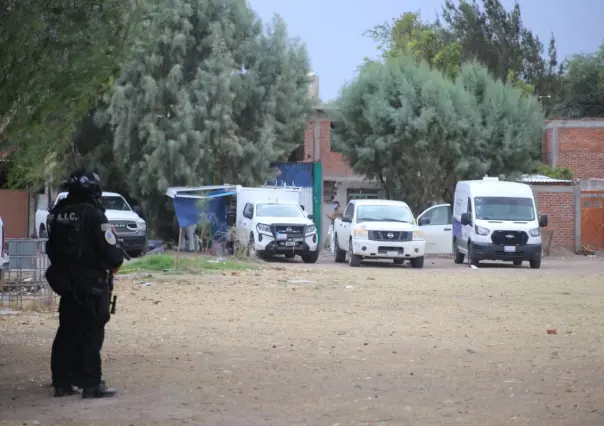 Localizan fosa clandestina con 15 cuerpos en Irapuato, Guanajuato