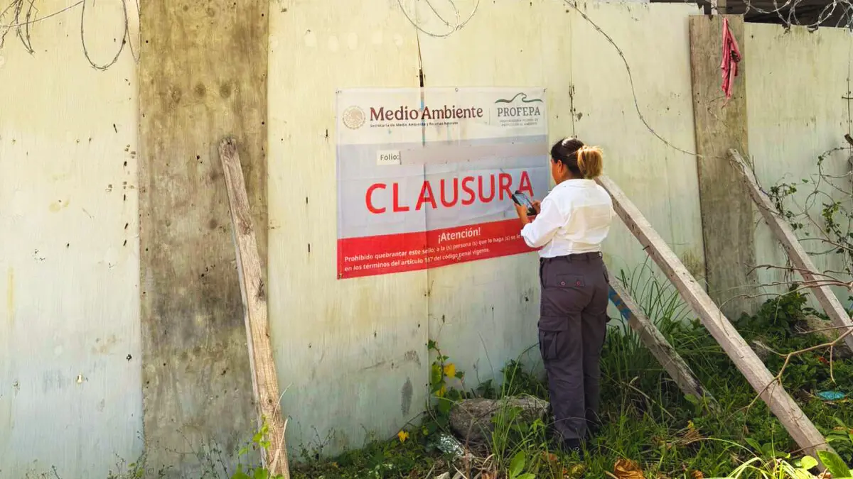 La clausura se ejecutó tras inspecciones realizadas el 20 y 21 de mayo Foto: Profepa