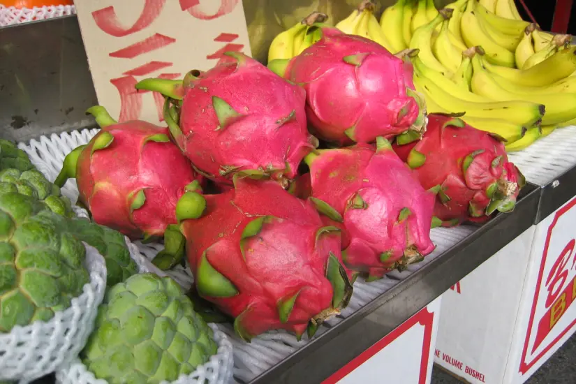 Es común encontrar pitaya en los mercados populares del centro y suroeste de Tamaulipas. Foto: Wikipedia