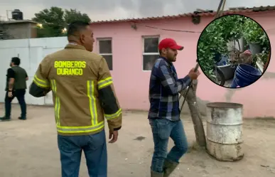 VIDEO | Puma ingresa a domicilio del poblado 5 de Mayo; montan operativo para capturarlo y reubicarlo