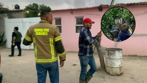 VIDEO | Puma ingresa a domicilio del poblado 5 de Mayo; montan operativo para capturarlo y reubicarlo