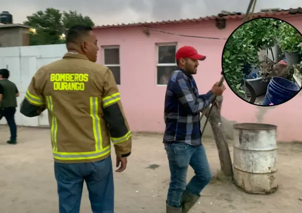 VIDEO | Puma ingresa a domicilio del poblado 5 de Mayo; montan operativo para capturarlo y reubicarlo