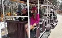 Zacango estrena tren turístico: así puedes visitar el zoológico sin cansarte