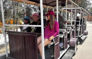 Zacango estrena tren turístico: así puedes visitar el zoológico sin cansarte