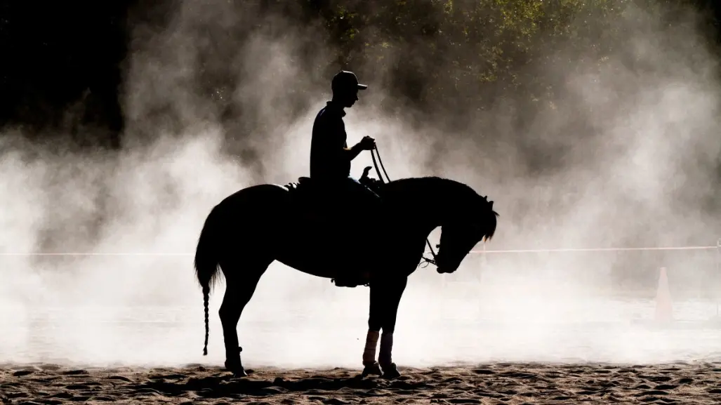 Jovenes de Zuazua se destacan en competencias nacionales e internacionales de rodeo