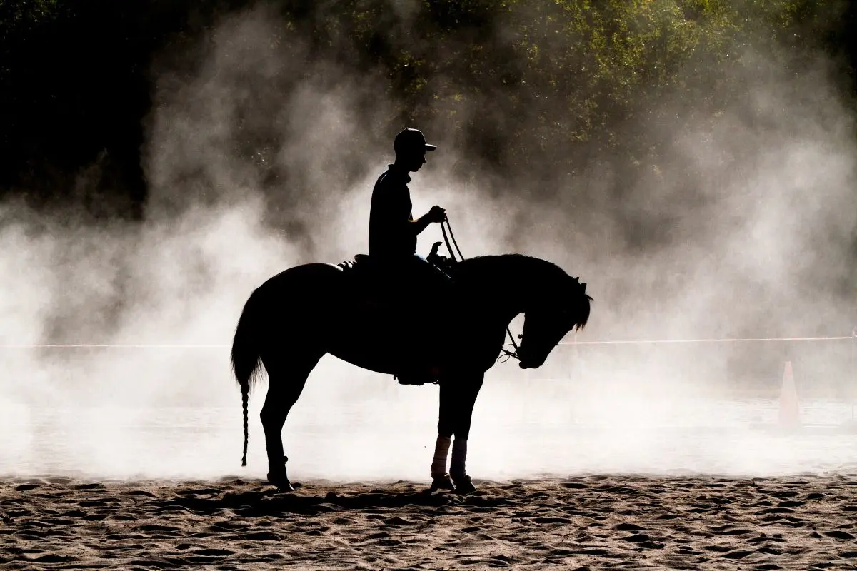 El Gobierno de Zuazua, junto con la alcaldesa Elva Deyanira Martínez González, dio a conocer a través de sus redes sociales oficiales la participación de destacados jóvenes del municipio en competencias de rodeo tanto nacionales como internacionales. Foto: CANVA