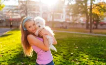 5 motivos para elegir una raza de perro única y con alma especial