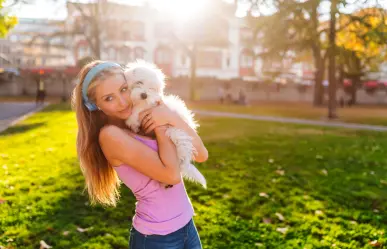 5 motivos para elegir una raza de perro única y con alma especial
