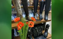 Las botas vaqueras más tradicionales en San Luis Potosí son de esta marca potosina