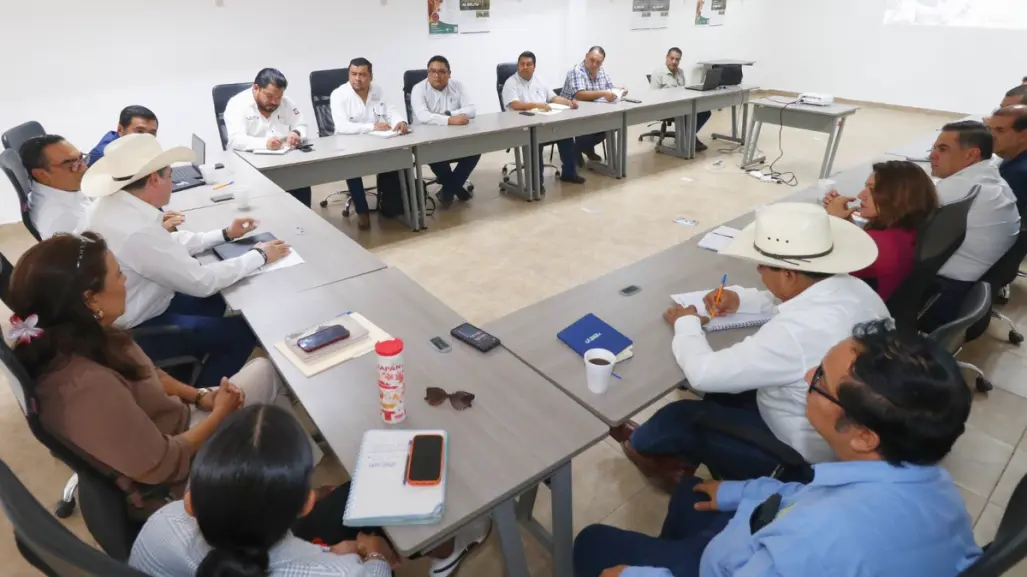 Miasis humana por gusano barrenador: ¿Qué es y cuáles son los síntomas?