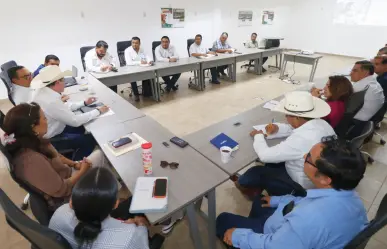 Miasis humana por gusano barrenador: ¿Qué es y cuáles son los síntomas?