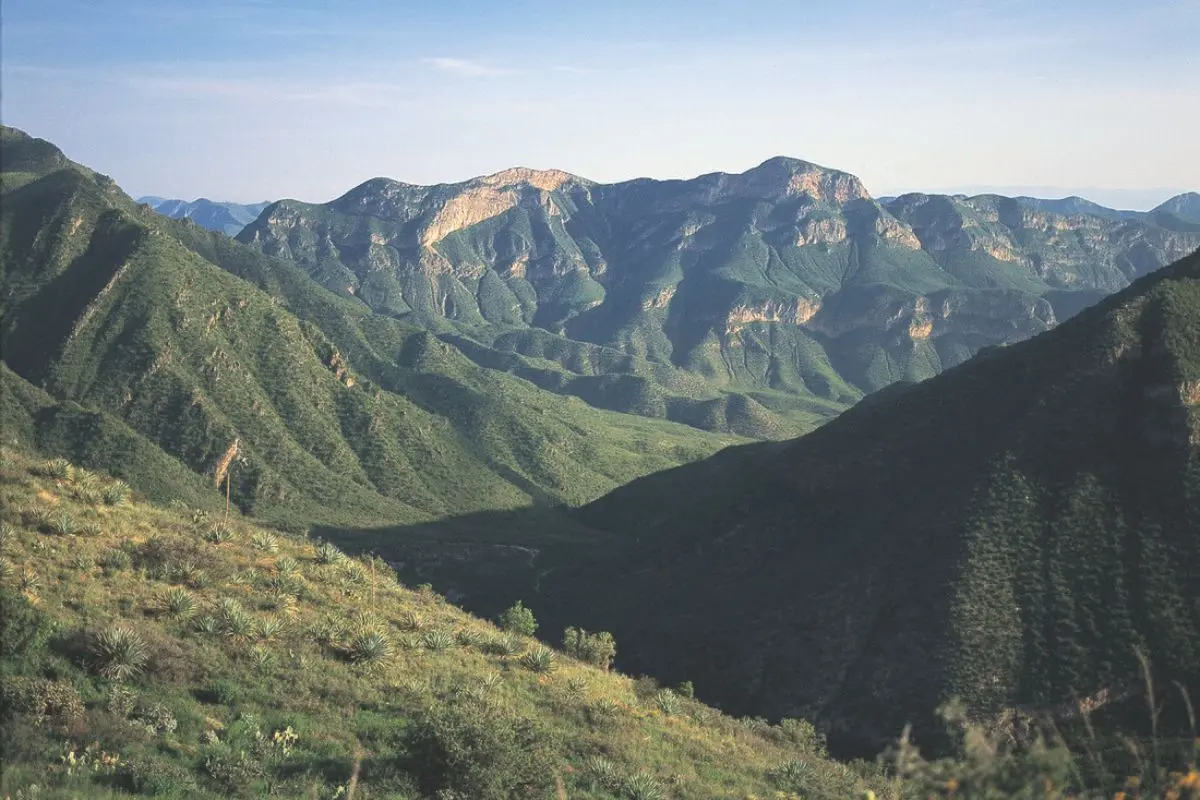 Jimulco, Coahuila. Foto de Wikiwand.