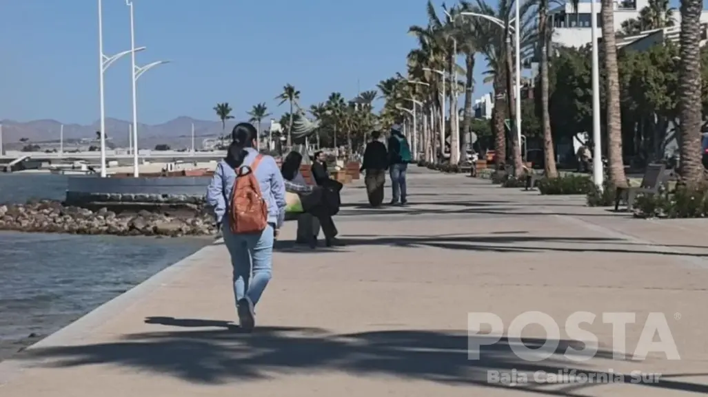 ¡Aumentan los nini! Más de 18 mil jóvenes en Baja California Sur no estudian ni trabajan