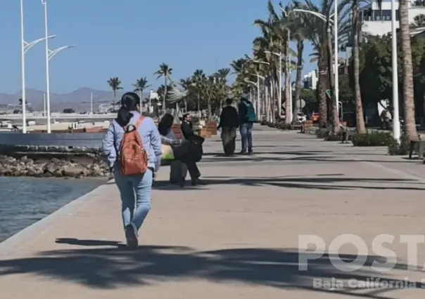 ¡Aumentan los nini! Más de 18 mil jóvenes en Baja California Sur no estudian ni trabajan