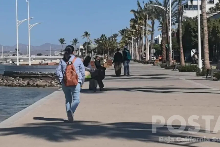 ¡Aumentan los nini! Más de 18 mil jóvenes en Baja California Sur no estudian ni trabajan