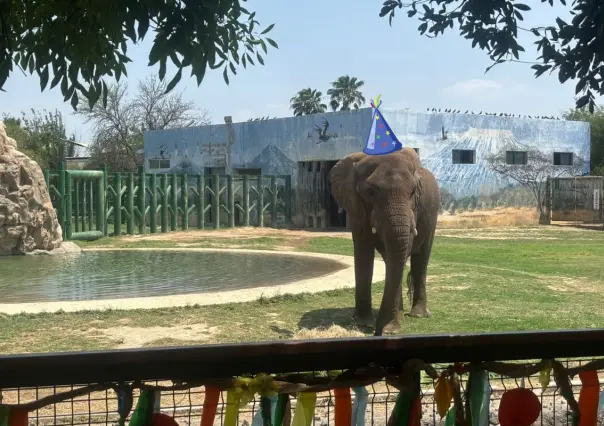 Monty el elefante cumple 19 años y así lo festejaron en La Pastora