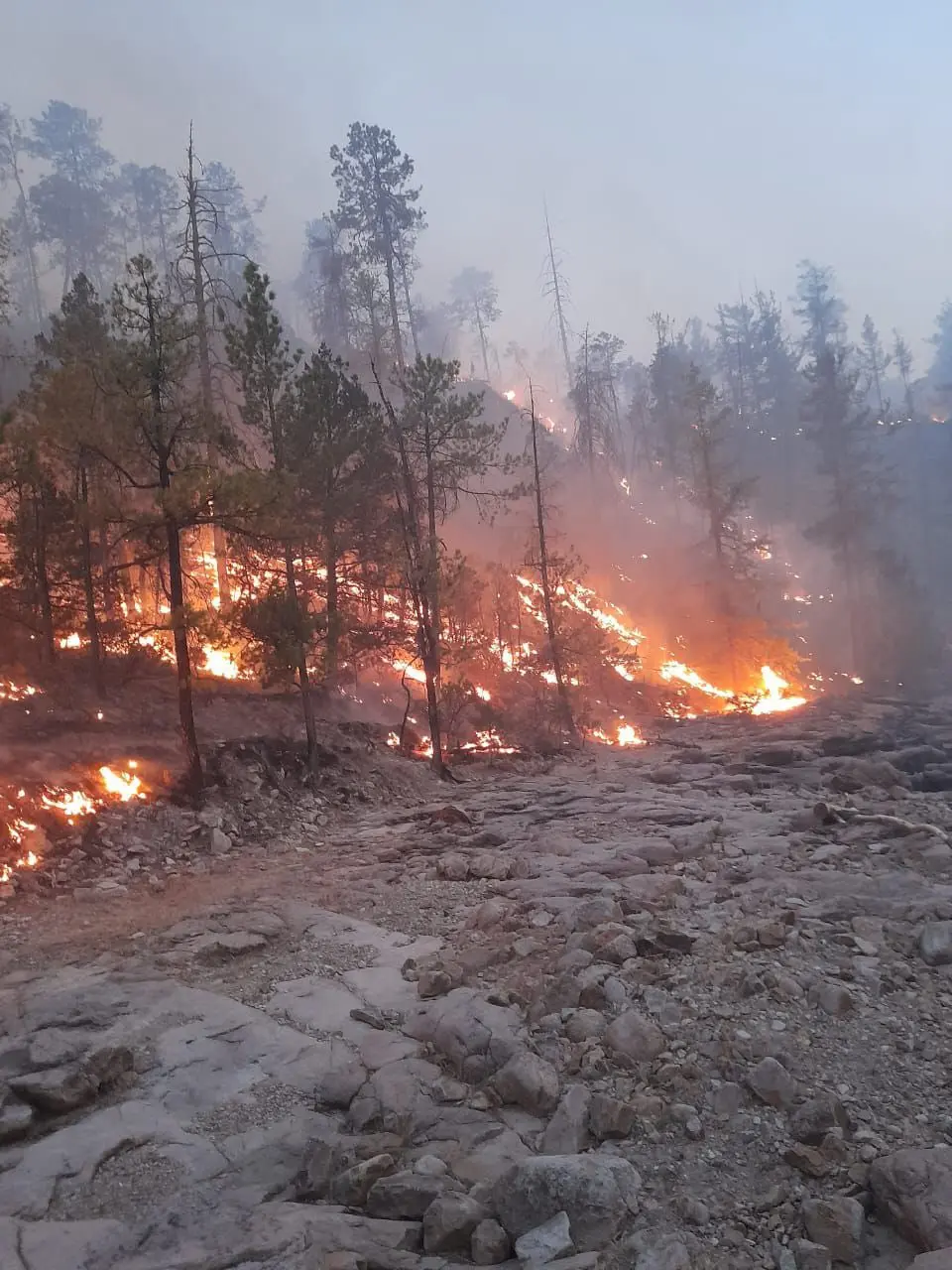 Avanza control de incendio forestal en Tepehuanes; este es el reporte del 26 de mayo de 2025