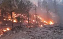 Avanza control de incendio forestal en Tepehuanes; este es el reporte del 26 de mayo de 2025