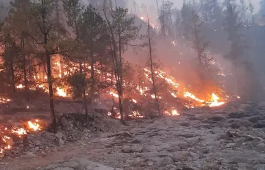 Avanza control de incendio forestal en Tepehuanes; este es el reporte del 26 de mayo de 2025